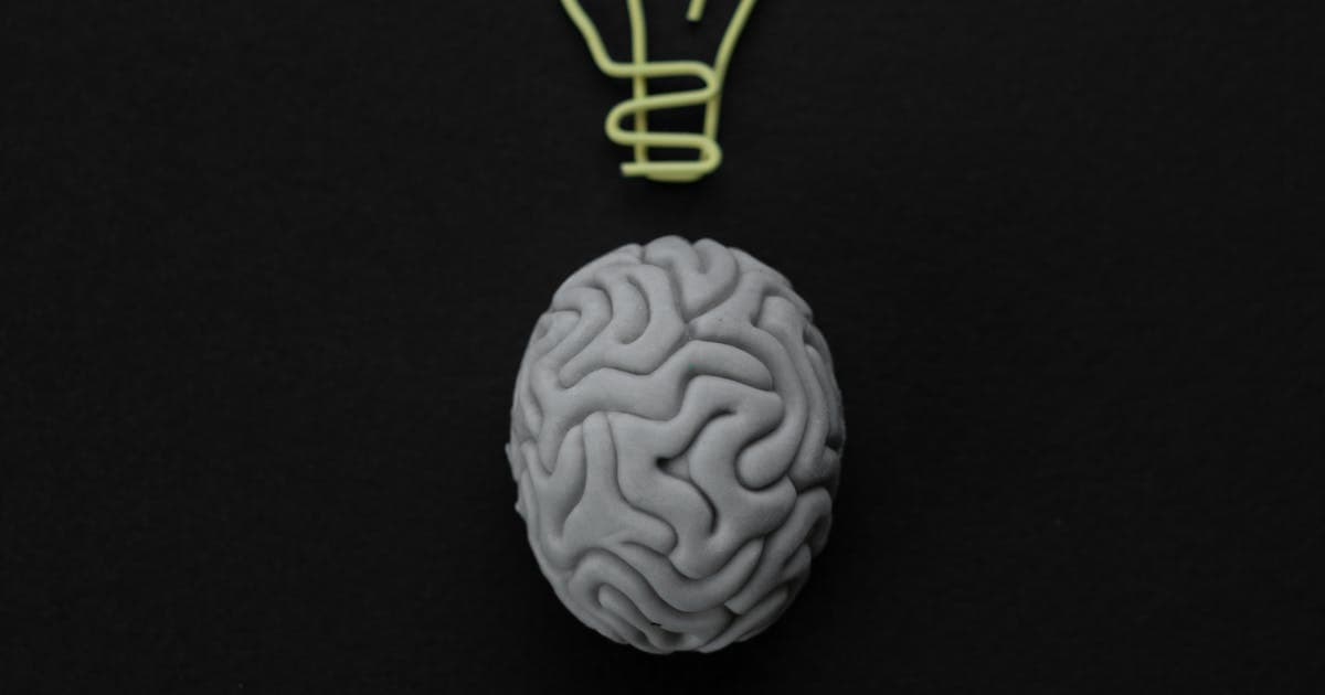 Brain-shaped eraser beside a lightbulb symbolizing knowledge and terminology